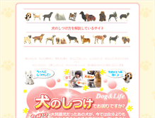 Tablet Screenshot of gs-takarajima.com
